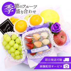 �t���[�c�M�t�g �t���[�c �ʕ� ���荇�킹 �l�ߍ��킹 �摜�z�M �������� �� �t�����[ �\�[�v�t�����[ �Z�b�g �M�t�g �~�̖��o ������ ��