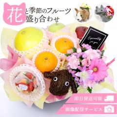 �t���[�c�M�t�g �t���[�c �ʕ� ���荇�킹 �l�ߍ��킹 �摜�z�M �������� �� �t�����[ ���ԃA�����W�����g �C�k �l�R �Ђ� �Z�b�g �M�t