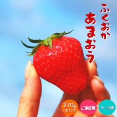 �P�[�X ������ ���܂��� ������ � �C�`�S �O�����f �ƒ�p ��270g �~2�p�b�N ���� ���� ����p �ƒ�p �N�[����  �yBO�z[���܂����i�P�[