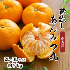 ����݂� �݂���  ���o�� ����݂ۂ݂��� ���ꌧ�Y ��a 7kg 2L 3L ���񂫂� ���k ���B�݂��� �t���[�c �ʕ� �ʎ� �������� ������