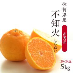 �P�[�X ������ �s�m�� ����ʂ� ��5kg ���ꌧ �{ ���񂫂� �J���L�c ���k �݂��� �t���[�c �ʕ� �ԏG�i ����p �ƒ�p �܂Ƃߔ��� ������