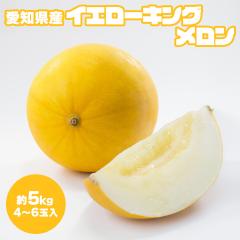 �C�G���[�L���O������ ������ �߂�� 4�`6�� ��5kg ���m���Y ���� ���������� �� ���F �t���[�c �ʕ� �P�[�X�̔� ���ƒ�p ������p�yBO