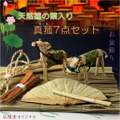 bg-00618-00.jpg