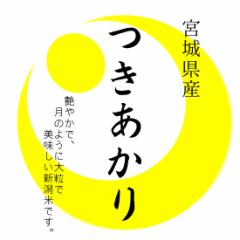 陸奥の米 令和6年産 宮城県産 つきあかり 10kg 白米 (無洗米 選べます。)新米 つきあかり 新米 10kg