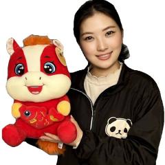 �n�N�ʂ�����݁y��z35cm�b�V�N,�n,���x,�k�C�O���~,��,����,�`���C�i,�O�b�Y,����,���؊X,�G��,�A�C�e��,���y�Y,�M�t�g,�v���[���g,�@