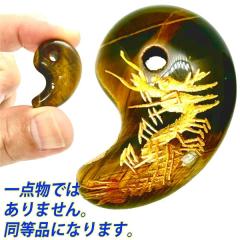 ���� �V�R���� ���ʗ�����y���z�y�f�z�^�C�K�[�A�C 30mm�yKP�z �l�R�|�X�ւȂ�y���������z|�Ֆڐ�,�^�C�K�[,����,���^,�d���^,���@��,