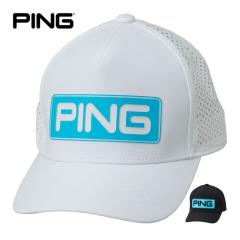 ピン SCOTTSDALE B63 パター PING PP58 グリップ、スチールシャフト