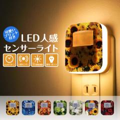 �Z���T�[���C�g �l���Z���T�[���C�g 10�i�K���� �t�b�g���C�g �R���Z���g�� LED�Z���T�[���C�g ���� ������ �ԐڏƖ� �i�C�g���C�g �l�� 