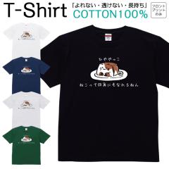 T�V���c �����Y ���f�B�[�X �L �l�R �˂� �������� �[�� ���܂� �W���j�A �L�b�Y ���� �R�b�g��100�� ��100�� 100�T�C�Y 120�T�C�Y X