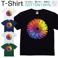 T�V���c �����Y ���f�B�[�X �� ��� �t�����[ �����|�C���g �� �J���t�� �W���j�A �L�b�Y ���� �R�b�g��100�� ��100�� 100�T�C�Y 120�T�C