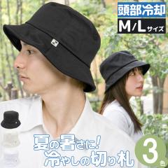 MǑ΍ Xq [[։]  z Y fB[X 傫TCY [ t AEghA / ЂPocketoPbgnbg