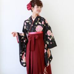 �� �Z�b�g ���Ǝ� �����^�� �� ���Ǝ��уZ�b�g2�ڑ��������� �t���Z�b�g�����^�� �� �u���b�N