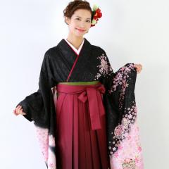 ���Ǝ� �� �����^�� �� �уZ�b�g ���� �U�� �������� �t���Z�b�g�����^��  ���� �u���n�ɔ����ڂ������Ƌf �s���N ��������v