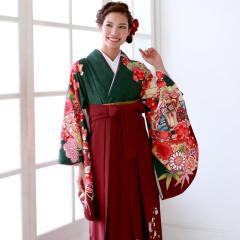 ���Ǝ� �� �����^�� �� �уZ�b�g 2�ڑ��������� �t���Z�b�g�����^�� ���� �u�[�ΐF�n�Ɍ䏊�ԂƐ� �� �| �~ �� �d�q�v