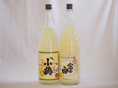 nC̑f2{Zbg( T[p䂸 25x xm`[nC̑f 25x) 1800ml~2{