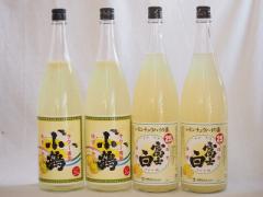 nC̑f4{Zbg( T[p䂸 25x xm`[nC̑f 25x) 1800ml~4{