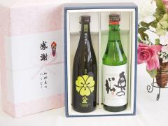 4本セット(黒木本店 百年の孤独麦焼酎(宮崎県)) 720ml×4本の通販