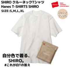 wCY Hanes SHIRO N[lbNTVc Hanes T-SHIRTS SHIRO Y fB[X jZbNX I[V[Y TVc  zCg 