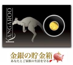 JK[ 0.5g 2024N RNVJ[hP[X   I[XgAp[Xǔs