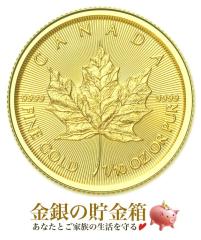 ���C�v������ 1/10�I���X 2025�N�� �N���A�P�[�X���� ���� �R�C�� �J�i�_���������ǔ��s
