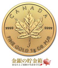 ���C�v������ 1g 2026�N�� �J�i�_���������ǔ�