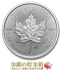 ���C�v����� 1�I���X 2026�N�� �N���A�P�[�X����