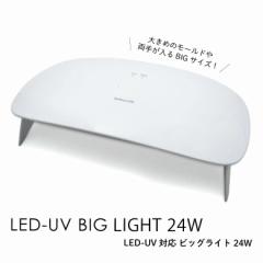 LED-UVΉ rbO Cg24W