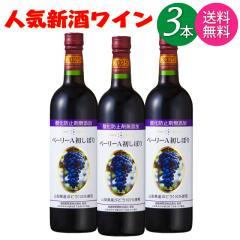 【4月限定価格】クライナー10箱セット　※増減可能 カワサキ『Ninja ZX-10R』、新色＆グラフィックで9月1日発売