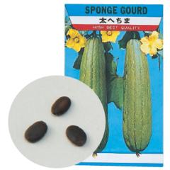 �y���[���֔����z�A�[�e�b�N ��؂̎� �w�`�} 2736 [���ޗp�i]