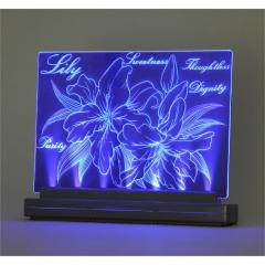 �A�[�e�b�N ���C�g�X�N���b�` A5 13347 [���p�E��ޗp�i] �y�k�C���E����E�����z���s�z