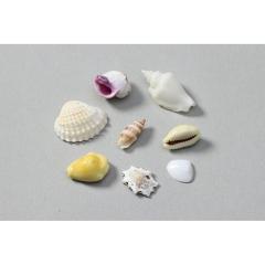 �y���[���֔����z�A�[�e�b�N �~�b�N�X�V�F��10g ���ܓ��� 47582 [�z�r�[�E�H��p�i]