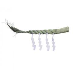 北川村ゆず王国 つぶつぶネーブル 480g 12個セット 22053 【北海道