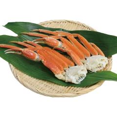 �y���Ε�M�t�g�z���킢�I���r �y�\������12/18�A���͂�����11�����`12/26�z �y�k�C���E����E�����z���s�z