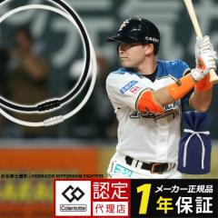 柳田悠岐選手愛用商品】ファイテン(PHITEN) ユニセックス大人