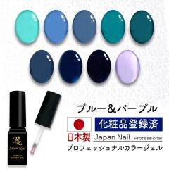 ���S�̓��{�� �J���[�W�F�� �u���[���p�[�v���J���[ LEDUV�Ή��W�F�� �W�F���l�C�� ���ϕi�o�^��