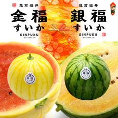 �����X�C�J �� �~ �╟�X�C�J �� (��1.8kg-2.2kg�~2��) ����Y �G�i ���ʂ����� ������ ���Z ���F ���� ���� ����Ղ� �����X�C�J ���N 