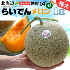 �k�C�� �炢�ł񃁃��� �ԓ� ���� (��2kg�~1��) �k�C���Y �G�i �炢�ł� ���b�h ���C�f�� ���d �k�C�������� �ԓ������� ���x14�x�ȏ� ��