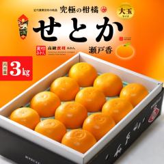�I�n�͔| ���Ƃ� (��3kg) ���Q�E�a�̎R�Y �G�i �����p 3�L�� ���Ƃ� �Z�g�J �݂��� ���k mandarin orange ���ˍ� �H�i �t���[�c �ʕ� ��