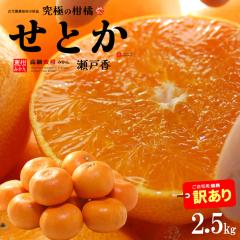 �󂠂� ���Ƃ� (��2.5kg) ���Q�Y �I�n�͔| �ƒ�p ���Ƃ� �݂��� ���Ƃ� �󂠂� ���P�A�� �킯���� ��A�� ���k  ���ˍ� �H�i �t���[�c 