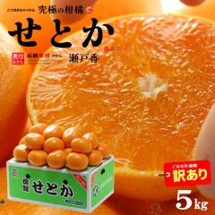 �󂠂� ���Ƃ� (��5kg) ���Q�Y �I�n�͔| �ƒ�p 5�L�� ���Ƃ� �݂��� ���Ƃ��󂠂� ���P�A�� �킯���� ��A�� ���k  ���ˍ� �H�i �t���[