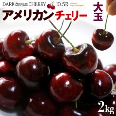 AJ`F[ rO (2kg) VgBY 嗱 2L 10.5R `F[ _[N`F[ A`F USA  Vg american ch