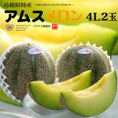 AX 4L~2 (2.5kg) Y ԏG  AX  vc ΌR ߂ melon ̓ Mtg  x Â nEX