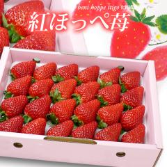 �g�ق��� ������ (��700g) ���Q �����Y �g�ق��� � �g�z�b�y �ׂɂق��� �����p �M�t�g ���ϔ� �����x �Â� ��� �嗱 ������ � �C�`�S