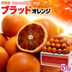 �u���b�h�I�����W (L-2L/��5kg) ���Q�Y �G�i �^���b�R �� �H�i �t���[�c �ʕ� �I�����W �u���b�h�I�����W �^���b�R�I�����W blood orange