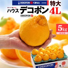 �n�E�X �f�R�|�� 4L 12�ʑO�� (��5kg) �F�{�Y ���� �M�t�g ���x13�x�ȏ� �D�i�܂��͏G�i ��� �Â� �F�{�f�R�|�� dekopon �s�m�� �ł���