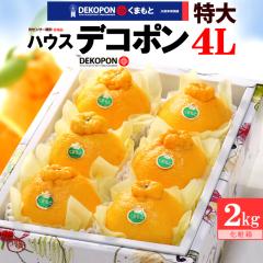 �n�E�X �f�R�|�� 4L 6�� (��2.4kg) �F�{�Y ���� ���ϔ� �M�t�g ���x13�x�ȏ� �D�i�܂��͏G�i ��� �Â� �F�{�f�R�|�� dekopon �s�m�� ��