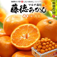 ���݂��� �}���`�͔| �����݂��� S-L (��5kg) �a�̎R�� ���ÎY �G�i �����p 5�L�� �M�t�g �����݂��� �����_�� mandarin orange �Â�