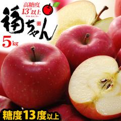 �T���ӂ� ��������� �����x�I�� (��5kg) �X�Y �T���ӂ���� �G�i�܂��͓��I ���x13�x�ȏ� ��� �M�t�g �����p ���� �T���t�W��