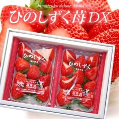 �Ђ̂����� ������ �f���b�N�X (��300g�~2P) �F�{�Y �Ђ̂�����DX �����p �G�i �M�t�g ������ � �C�`�S �嗱 ��� �����x �Â� ��������