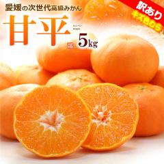 �󂠂� �Õ� �݂��� ���ƒ�p (��5kg) ���Q�Y �Õ� ����؂� �󂠂� �킯���� ���P�A�� �݂��� �H�i �t���[�c �ʕ� �݂��� ���k 2026 ��